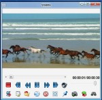FlvPlayer4Free 6.5.0.0 (MULTi / Rus)
