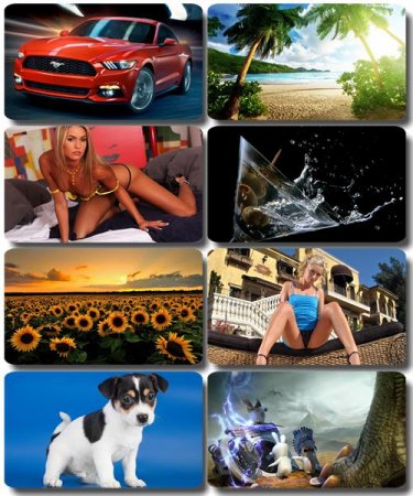 ���� �� ����� ���� - ������� �������� �������� (����� 53)