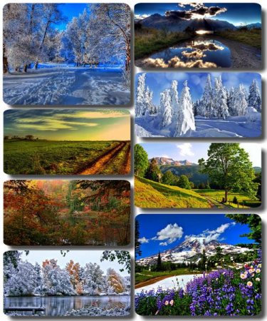 ���� ����������� ������� - ���� ������� (������ 36)