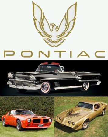 ������� (������������ ������������ ����������) �������� �����������