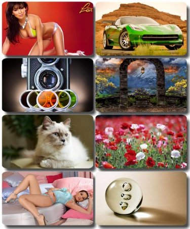 ���� �� ����� ���� - ������� �������� �������� (����� 56)