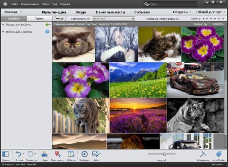 Adobe Photoshop & Premiere Elements 13.1 Final (2015/ML/RUS)