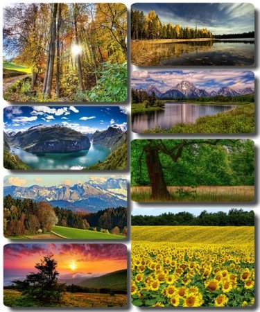 ���� ����������� ������� - ���� ������� (������ 46)