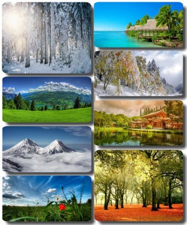 ���� ����������� ������� - ���� ������� (������ 48)