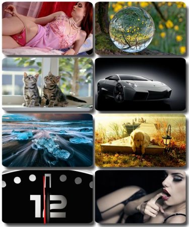 ���� �� ����� ���� - ������� �������� �������� (����� 61)