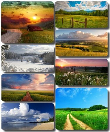 ���� ����������� ������� - ���� ������� (������ 49)