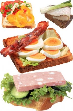 ���������: ������� �������� �����������