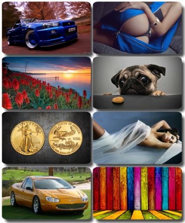 Mix ��������� �������� - ���� ��� �������� ����� (����� 65)