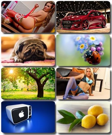 ���� �� ����� ���� - ������� �������� �������� (����� 65)