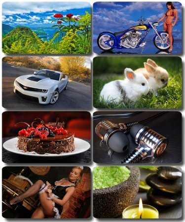 ���� �� ����� ���� - ������� �������� �������� (����� 67)