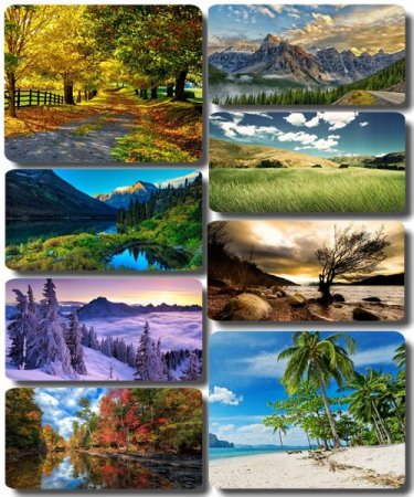 ���������� ������� - ���� � ���� ������� (������ 51)