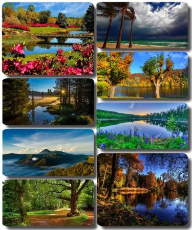 ���������� ������� - ���� � ���� ������� (������ 54)