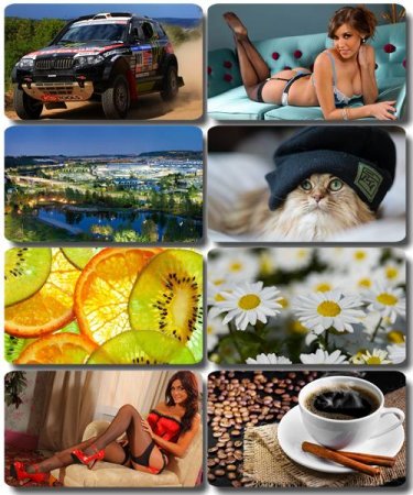 ���� �� ����� ���� - ������� �������� �������� (����� 71)