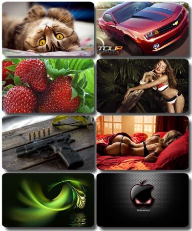 ���� �� ����� ���� - ������� �������� �������� (����� 72)