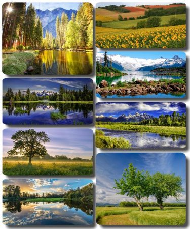 ���������� ������� - ���� � ���� ������� (������ 60)