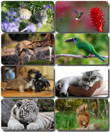 �������� �������� - ��������� ���� ����� (����� 54)