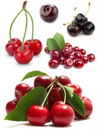 ������ ����� � ������� (�������� �����������)