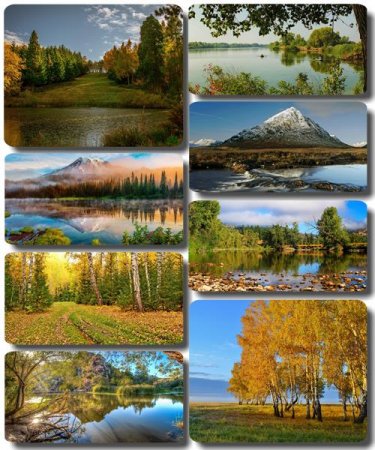 ���������� ������� - ���� � ���� ������� (������ 65)