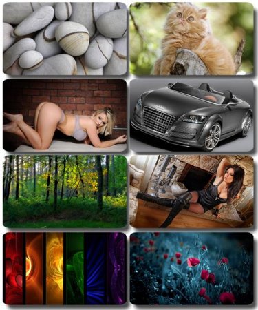 ���� �� ����� ���� - ������� �������� �������� (����� 75)