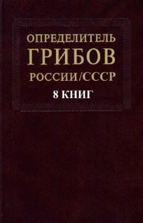��������� - ������������ ������ ������/����. ���� � 8-� ������