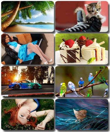 ���� �� ����� ���� - ������� �������� �������� (����� 77)