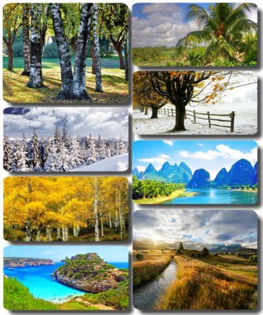 ���������� ������� - ���� � ���� ������� (������ 72)