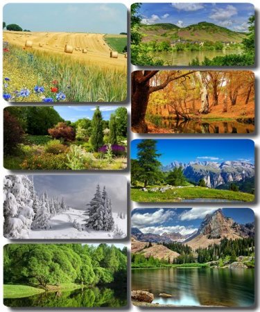 ���������� ������� - ���� � ���� ������� (������ 74)