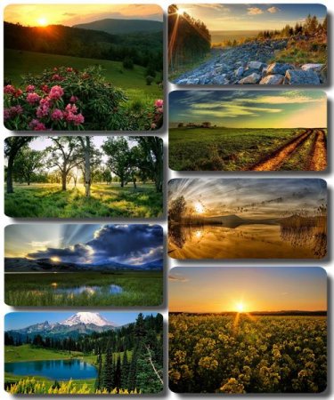 ���������� ������� - ���� � ���� ������� (������ 75)