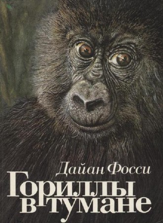 ����� ����� - ������� � ������ (����������)