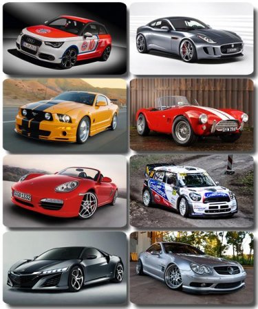 ���� ���� - �������� � ���� ����������� (����� 43)