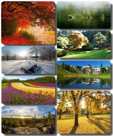 ���������� ������� - ���� � ���� ������� (������ 78)