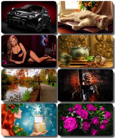 ���� �� ����� ���� - ������� �������� �������� (����� 81)