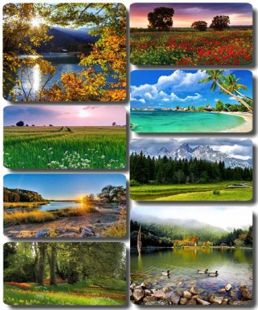 ���������� ������� - ���� � ���� ������� (������ 80)