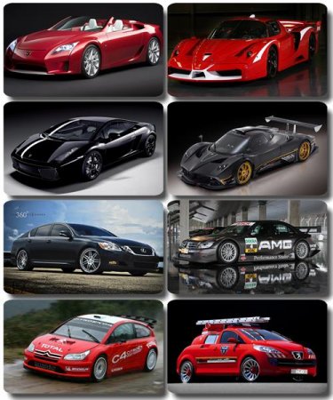 ���� ���� - �������� � ���� ����������� (����� 45)