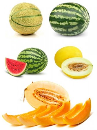 ������ ����� � ������� ���� (�������� �����������)