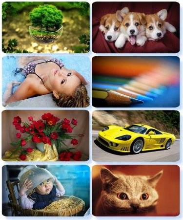 ���� �� ����� ���� - ������� �������� �������� (����� 84)