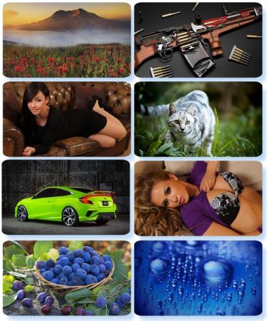 ���� �� ����� ���� - ������� �������� �������� (����� 85)