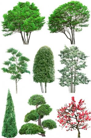 ������� � ���������� (�������� �����������) ���������� ���