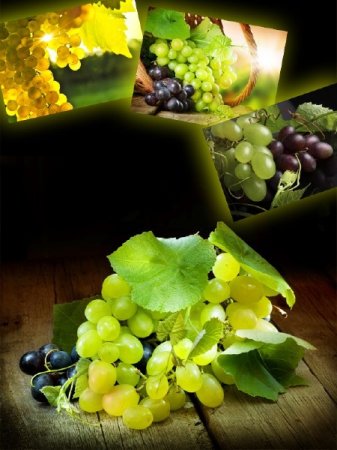 �������� � ����������� ������� (�������� �����������)