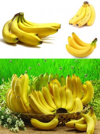 ����� (�������� �����������)