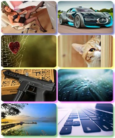 ���� �� ����� ���� - ������� �������� �������� (����� 86)