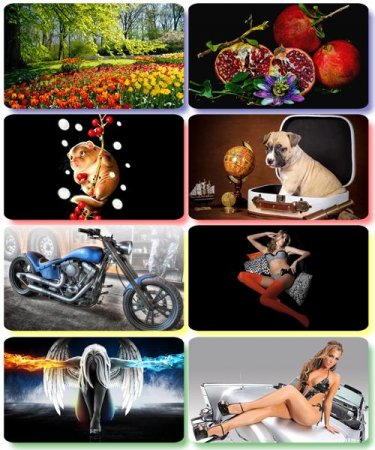 ��������� HQ ����� � ��������� ���������� ����� 79