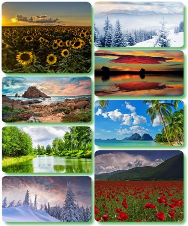 ���������� ������� - ���� � ���� ������� (������ 93)