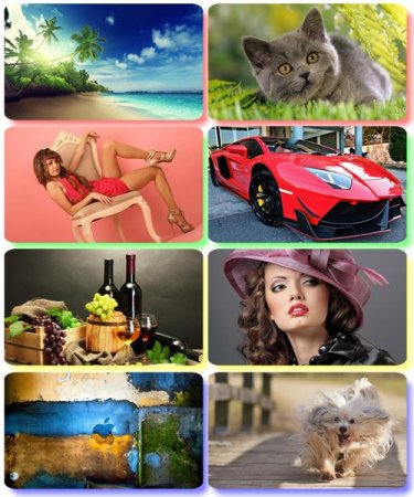 ��������� HQ ����� � ��������� ���������� ����� 81