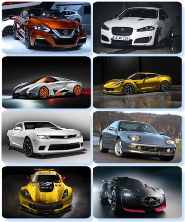 ���� ���� - �������� � ���� ����������� (����� 49)