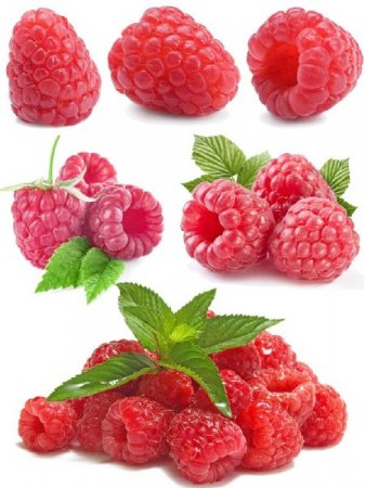 �����: ������ (�������� �����������)