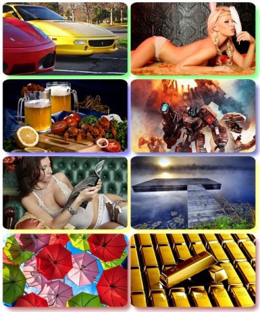 ���� �� ����� ���� - ������� �������� �������� (����� 87)