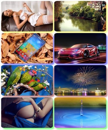 ���� �� ����� ���� - ������� �������� �������� (����� 88)