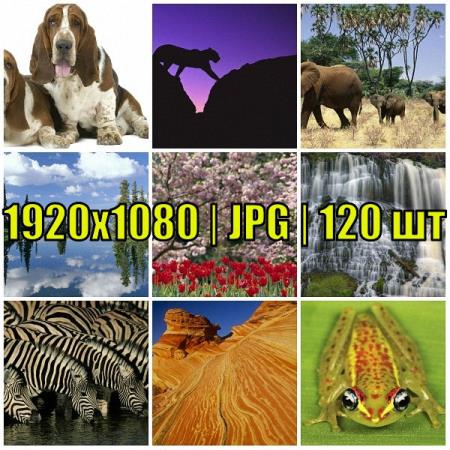 �������� ����� �� ������� ���� � �������� ������ (2015)