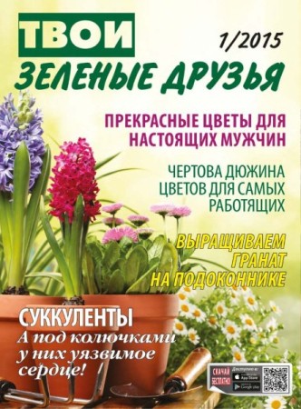 ���� ������ ������ �1 2015